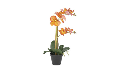 Turuncu 2li Yapay Orkide 53cm